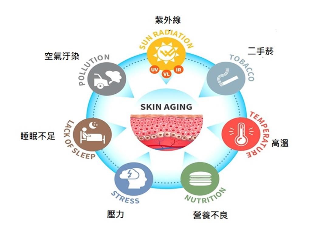 Ectoin Cosmetic ingredients